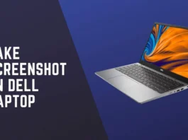 TAKE-SCREENSHOT-ON-DELL-LAPTOP